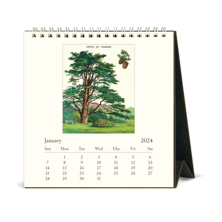 CAVALLINI & CO - 2024 Vintage Desk Calendar - ARBORETUM - Tree Study - Best 2023 Christmas Gifts - Gift Ideas