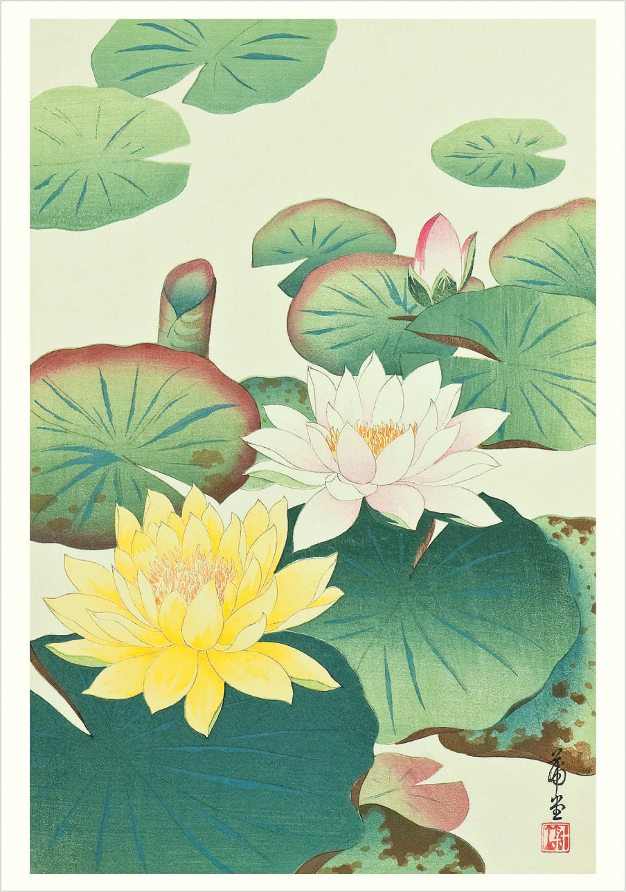 Pomegranate - Boxed Notecard Assortment -  Haiku: Japanese Art and Poetry