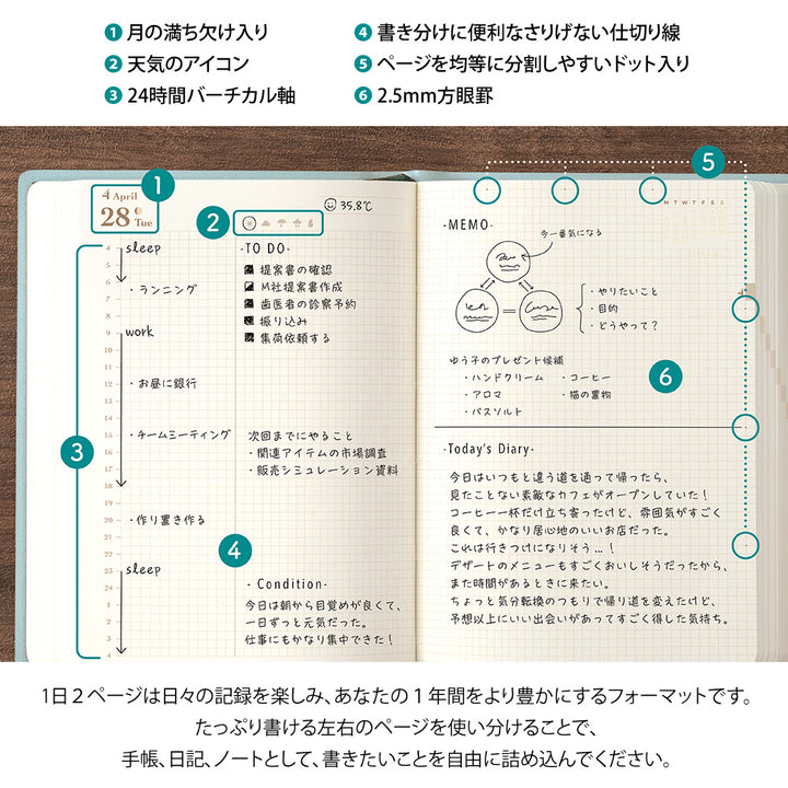 Midori - Dairy Hibino 2026 - Blue Green