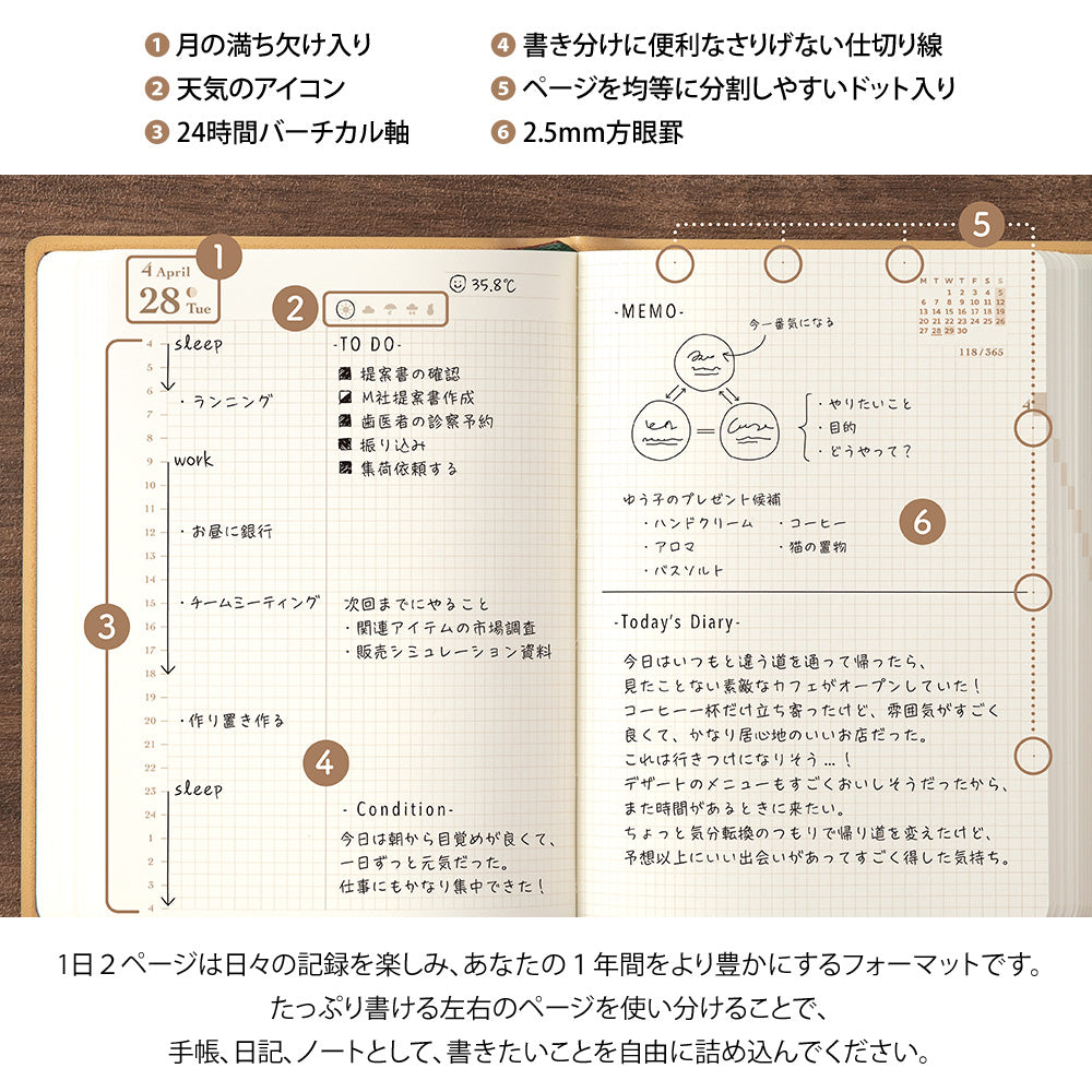 Midori - Dairy Hibino 2026 - Camel