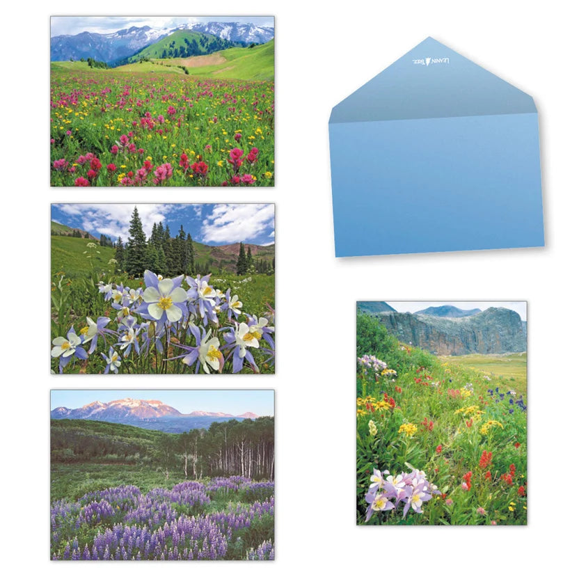 Leanin'Tree - Mountain Wildflowers by John Fielder
