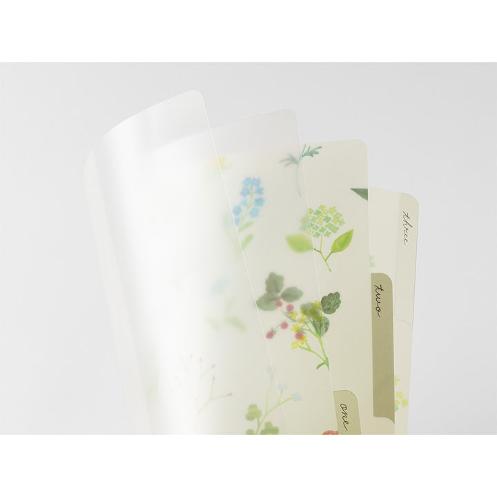 MIDORI - 3-Pocket Clear Folder - A4 - Flowers C