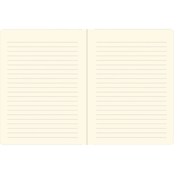 Peter Pauper Press - Lock Journal - Keep Out