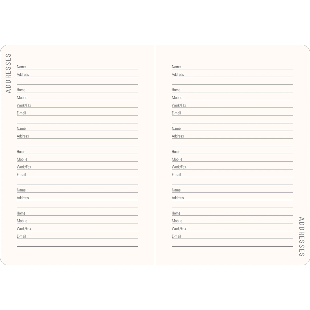 Peter Pauper Press - 2027 Weekly Planner - 16 Months Engagement Calendar - Gilded Branch