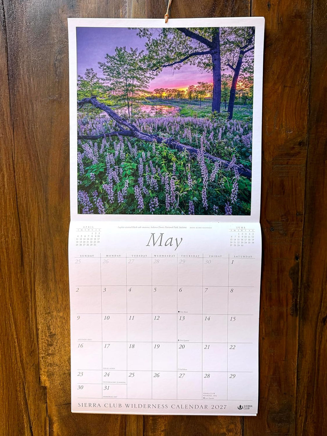 Sierra Club - 2027 Wall Calendar - Wilderness