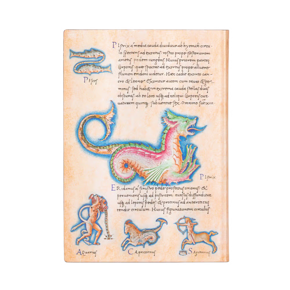 Paperblanks - Astronomica - Softcover - Midi - Lined