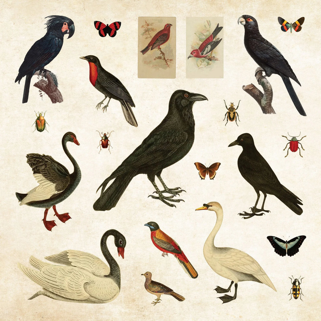 Peter Pauper Press - Sticker Book - Mystical Ephemera