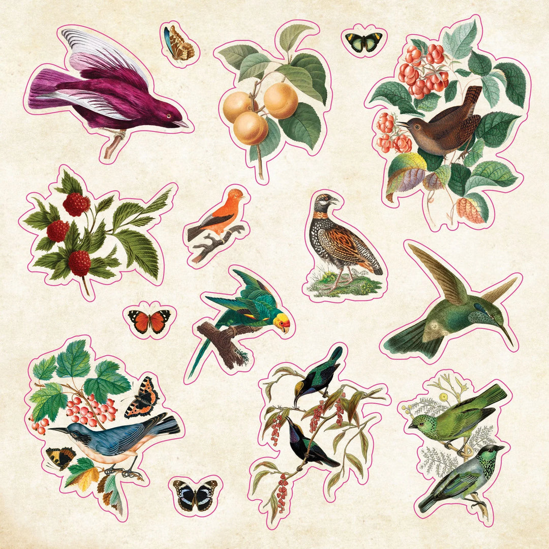 Peter Pauper Press - Sticker Book - Curiosities