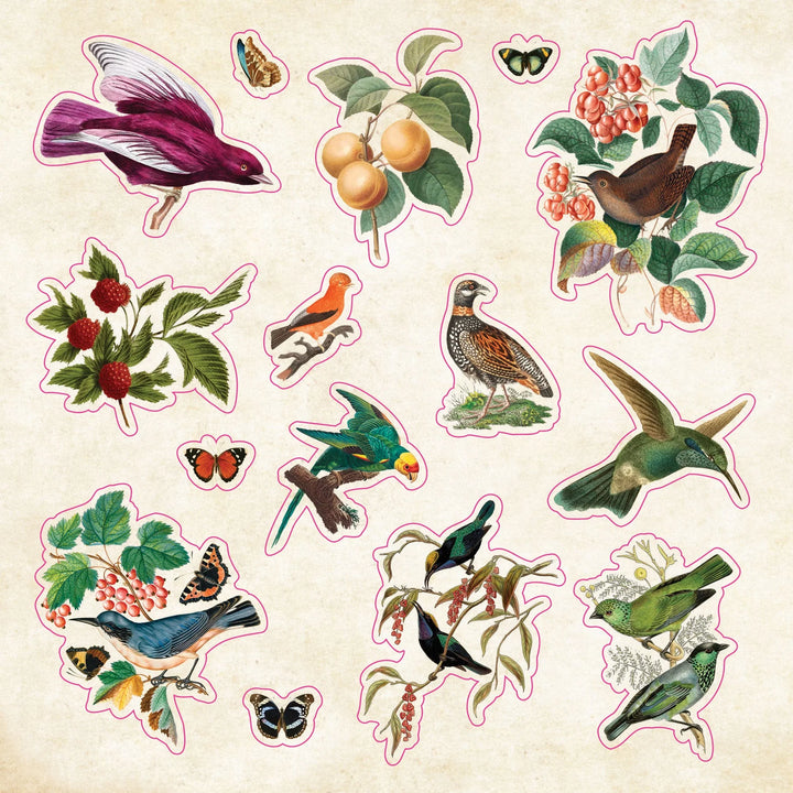 Peter Pauper Press - Sticker Book - Curiosities