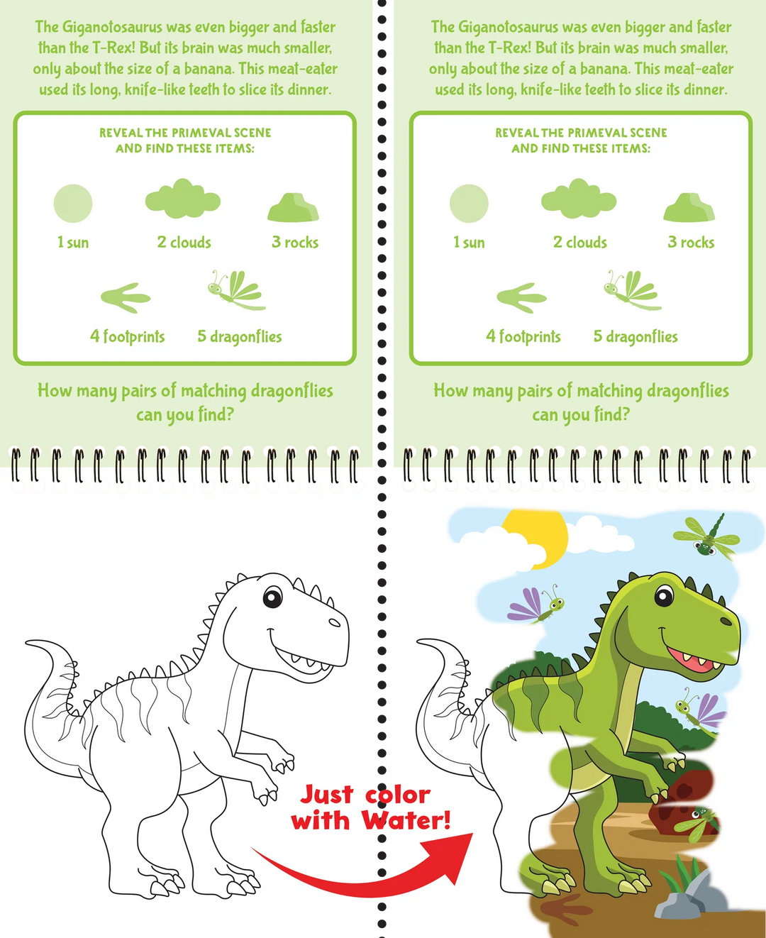 Peter Pauper Press - Colour With Water - Dinosaurs & Friends