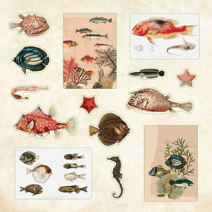 Peter Pauper Press - Sticker Book - Poseidon's Kingdom