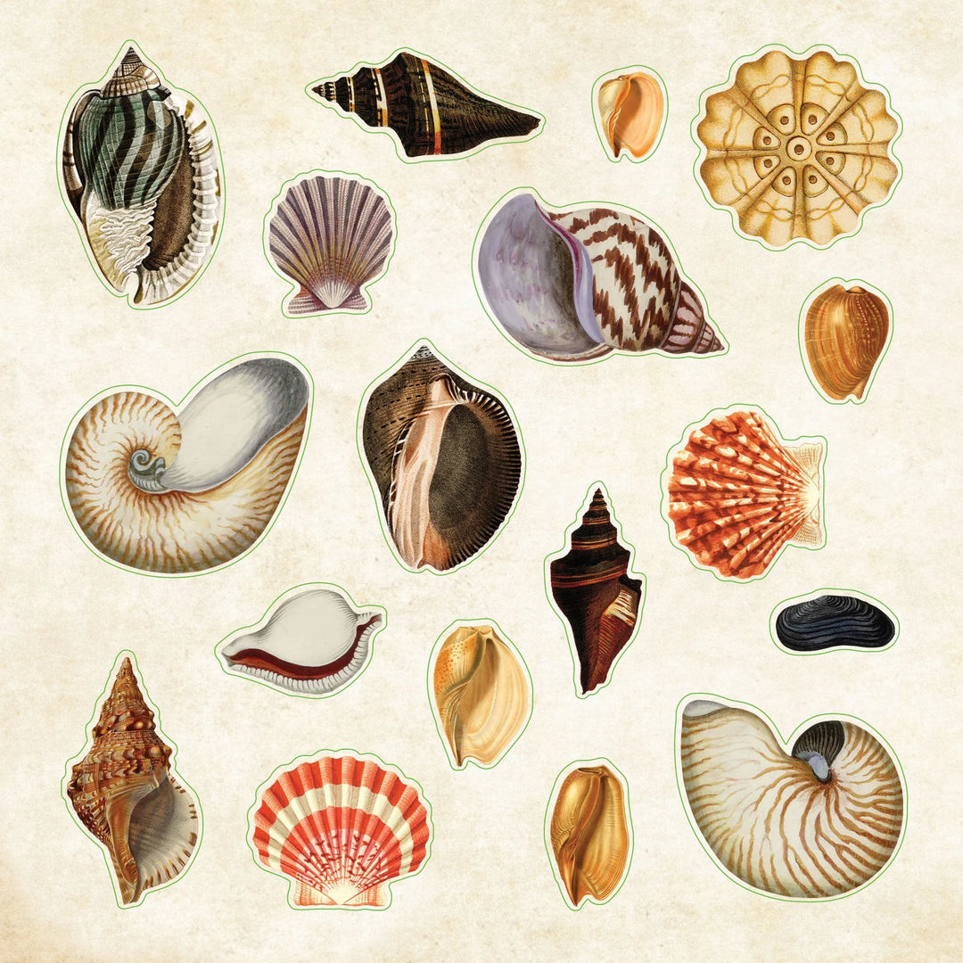 Peter Pauper Press - Sticker Book - Poseidon's Kingdom