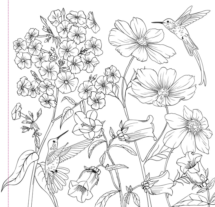 Peter Pauper Press - Studio Series Artist's Coloring Book - Wildflowers