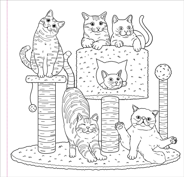 Peter Pauper Press - Studio Series Artist's Coloring Book - Cute and Curious Cats