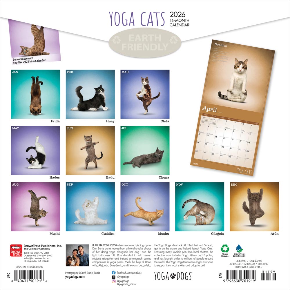 Wyman - 2026 Calendar - Yoga Cats