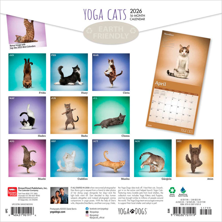 Wyman - 2026 Calendar - Yoga Cats