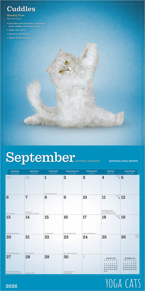 Wyman - 2026 Calendar - Yoga Cats