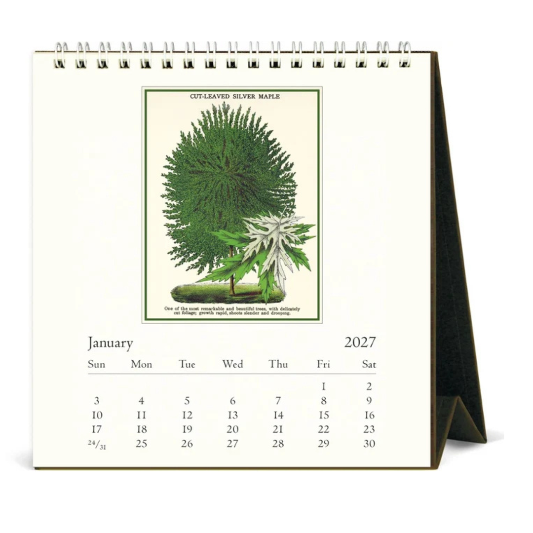 Cavallini & Co - 2027 Desk Calendar - Arboretum