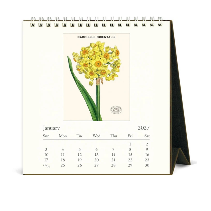 Cavallini & Co - 2027 Desk Calendar - Botanica