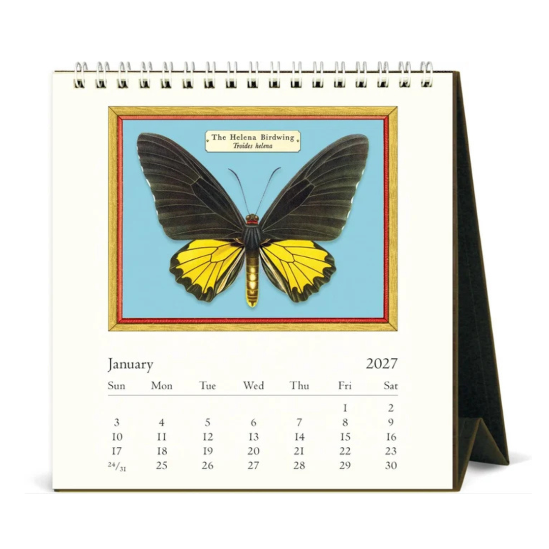 Cavallini & Co - 2027 Desk Calendar - Butterflies