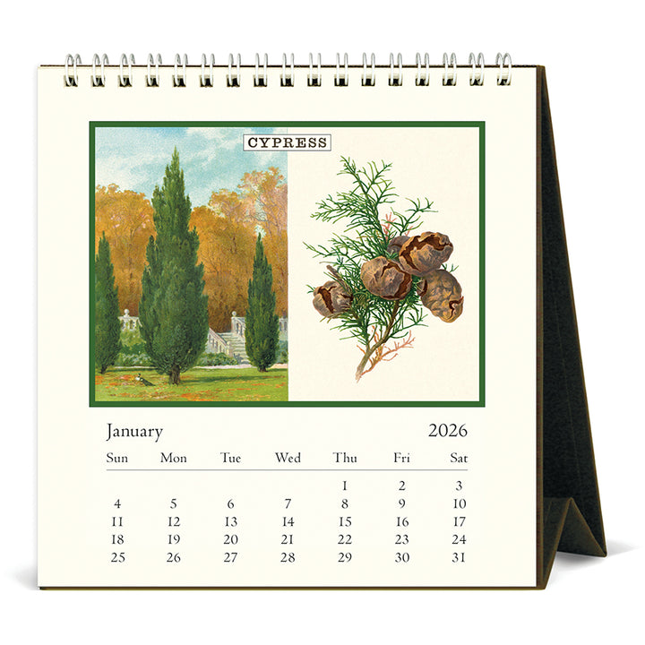 Cavallini & Co - 2026 Desk Calendar - Arboretum