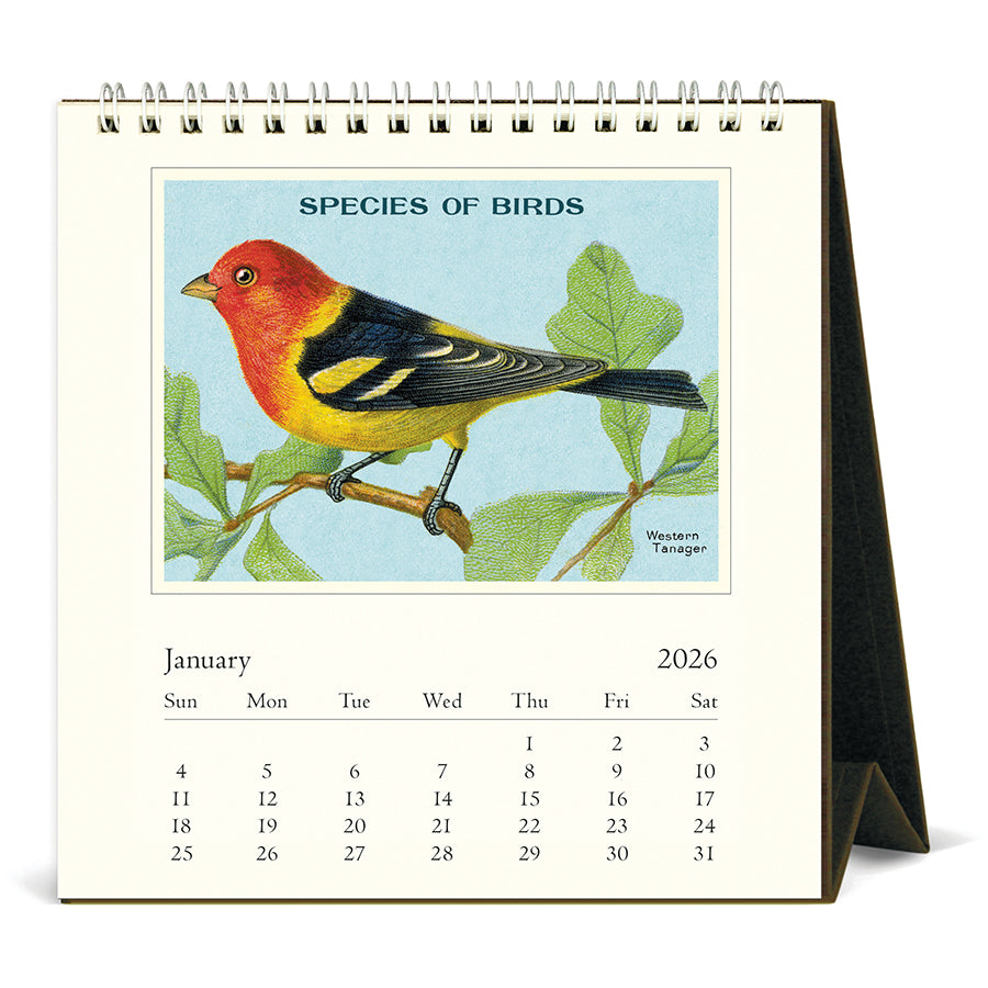 Cavallini & Co - 2026 Desk Calendar - Birds