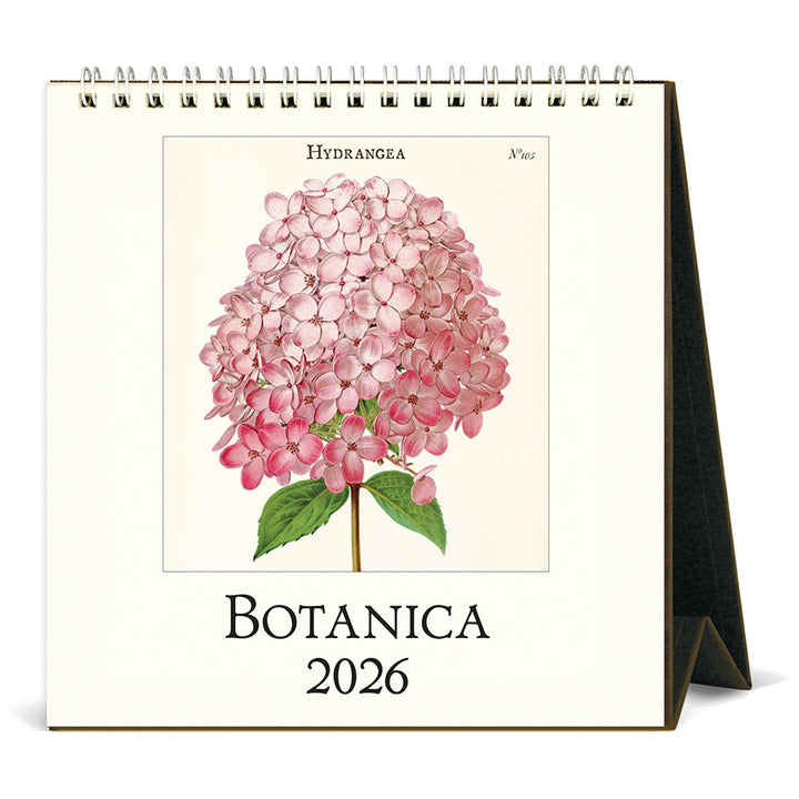 Cavallini & Co - 2026 Desk Calendar - Botanica