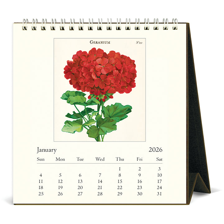 Cavallini & Co - 2026 Desk Calendar - Botanica