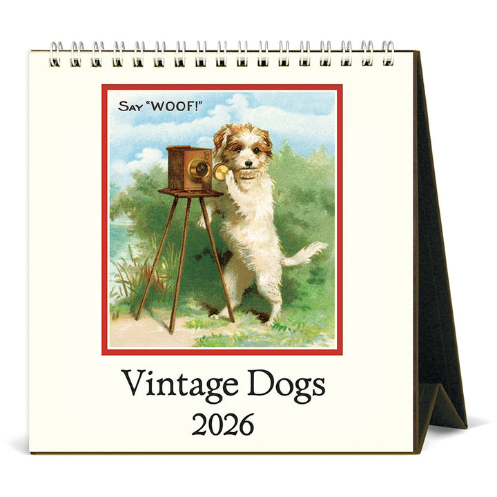 Cavallini & Co - 2026 Desk Calendar - Dogs