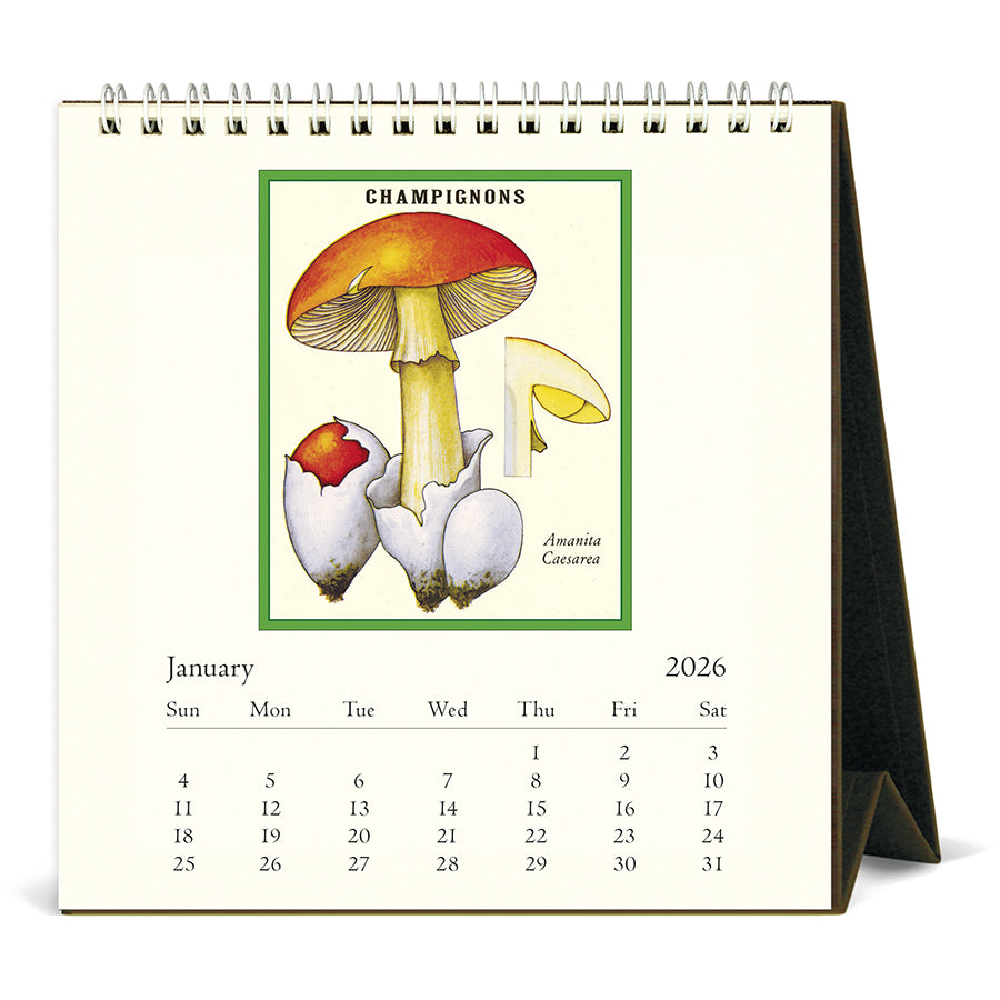 Cavallini & Co - 2026 Desk Calendar - Foraging