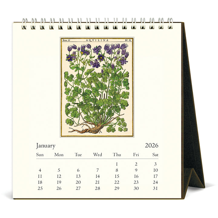 Cavallini & Co - 2026 Desk Calendar - Herbarium