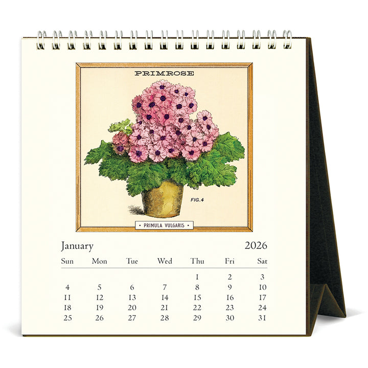 Cavallini & Co - 2026 Desk Calendar - Jardiniere