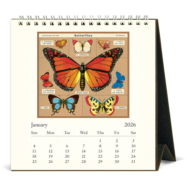 Cavallini & Co - 2026 Desk Calendar - Papillons