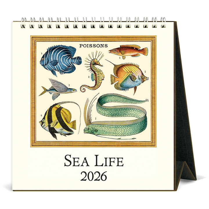 Cavallini & Co - 2026 Desk Calendar - Sea Life