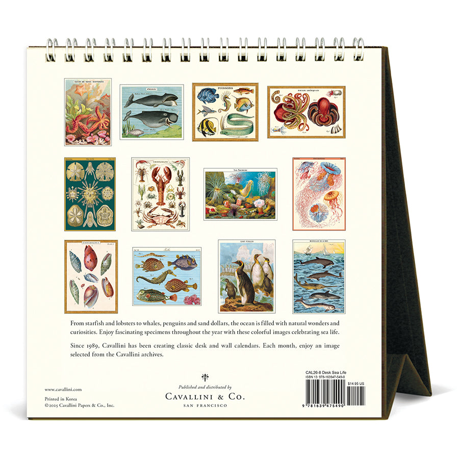 Cavallini & Co - 2026 Desk Calendar - Sea Life