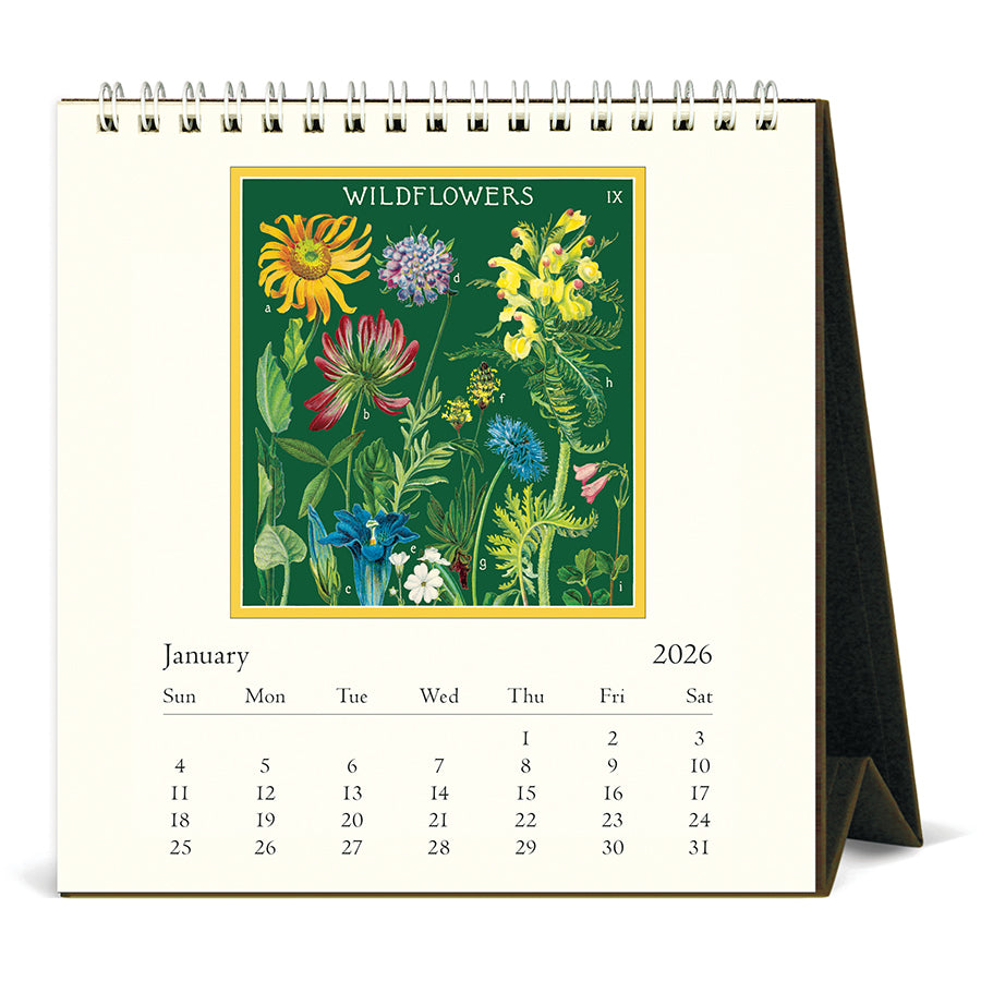 Cavallini & Co - 2026 Desk Calendar - Wildflowers