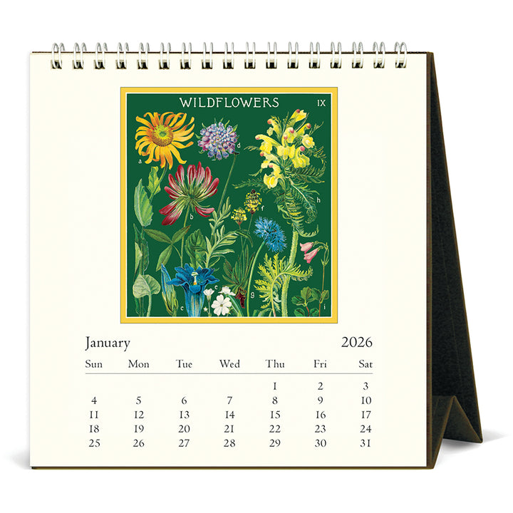 Cavallini & Co - 2026 Desk Calendar - Wildflowers