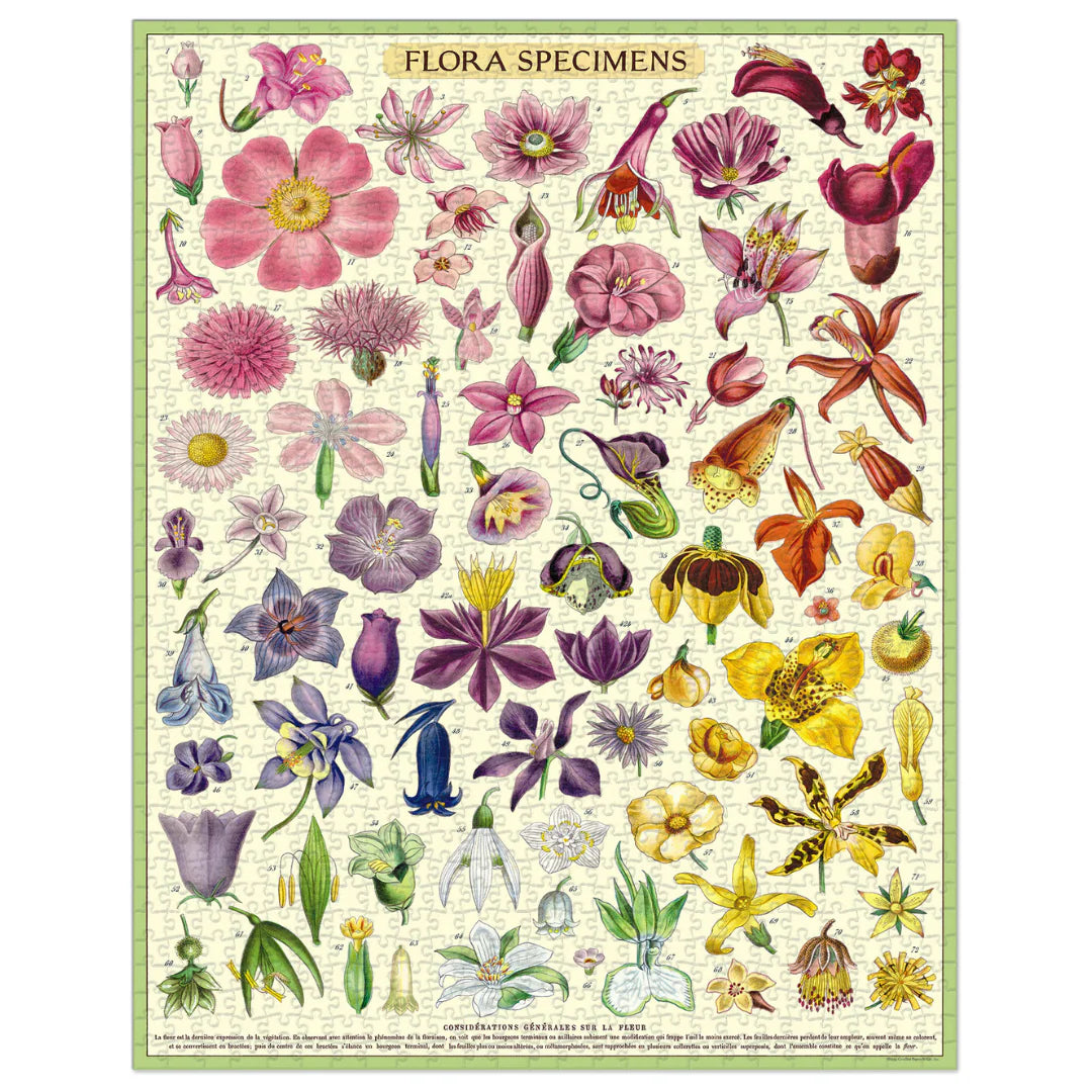 Cavallini & Co - Vintage Puzzle 1000 Pieces - Flora Specimens
