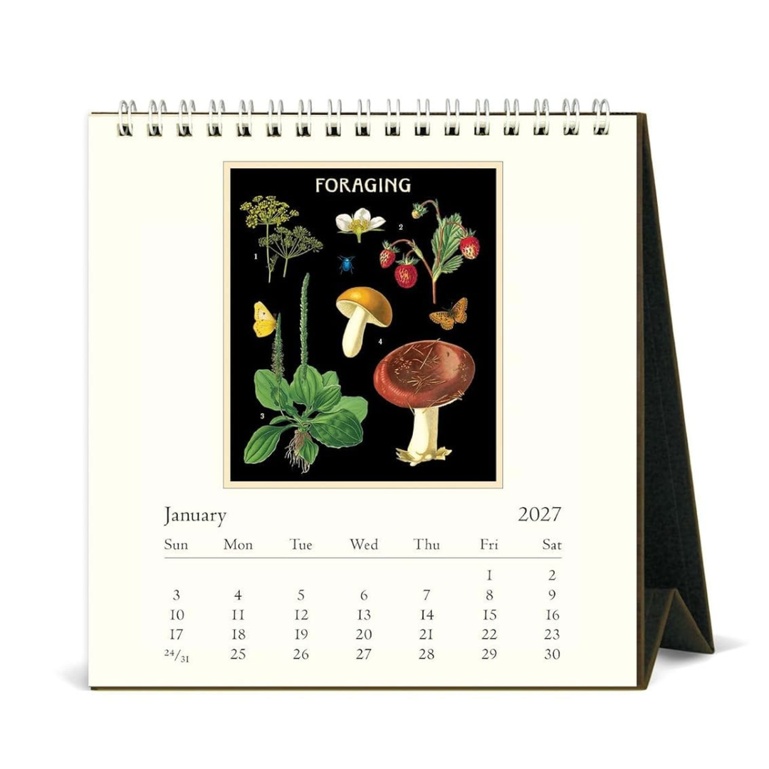 Cavallini & Co - 2027 Desk Calendar - Foraging