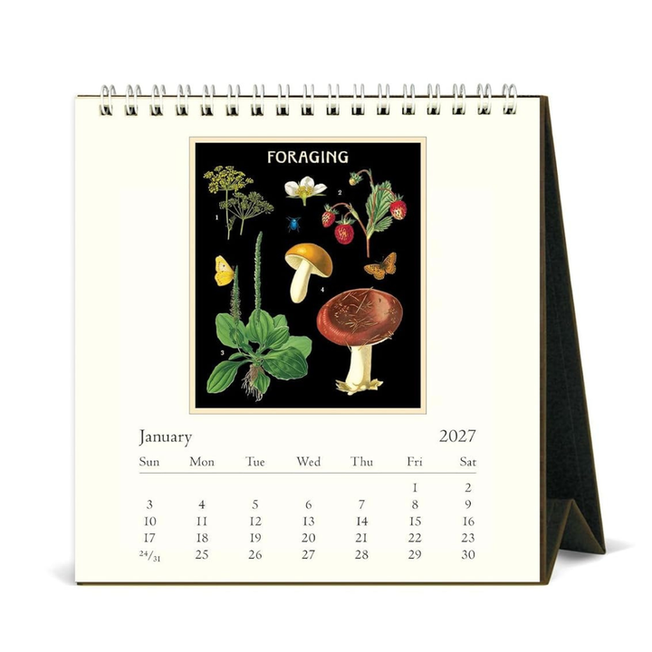 Cavallini & Co - 2027 Desk Calendar - Foraging