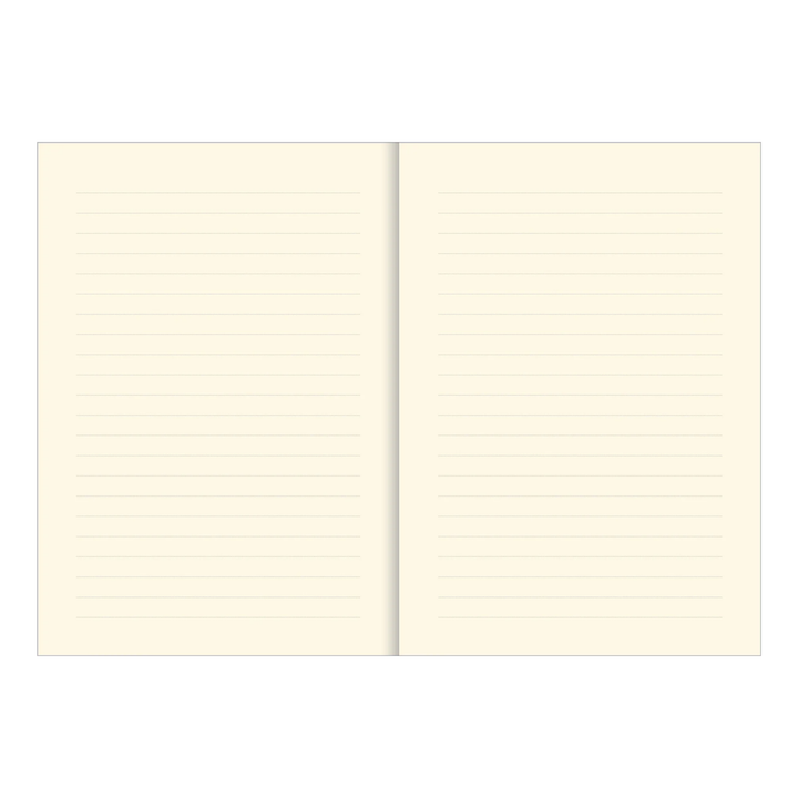 Peter Pauper Press - Lined Journal - Hummingbird Dreams