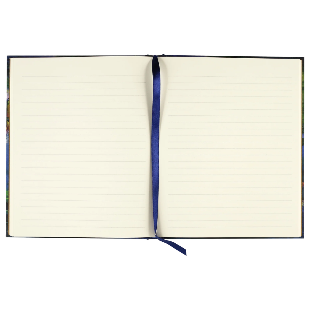 Peter Pauper Press - Lined Journal - Hummingbird Dreams