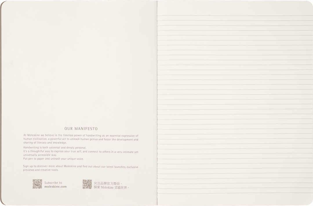 MOLESKINE - WIZARDING WORLD HARRY POTTER LIMITED EDITION CAHIER - WINGARDIUM LEVIOSA