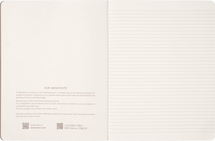 MOLESKINE - WIZARDING WORLD HARRY POTTER LIMITED EDITION CAHIER - WINGARDIUM LEVIOSA