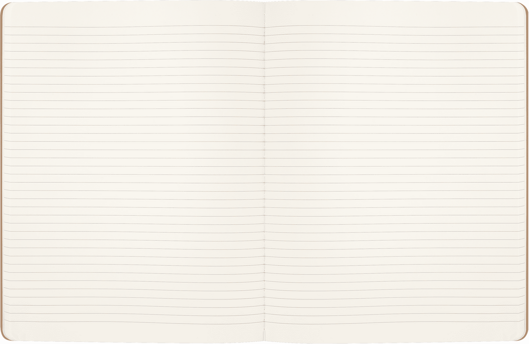 MOLESKINE - WIZARDING WORLD HARRY POTTER LIMITED EDITION CAHIER - WINGARDIUM LEVIOSA