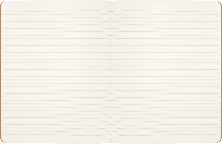 MOLESKINE - WIZARDING WORLD HARRY POTTER LIMITED EDITION CAHIER - WINGARDIUM LEVIOSA