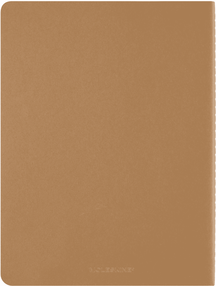 MOLESKINE - WIZARDING WORLD HARRY POTTER LIMITED EDITION CAHIER - WINGARDIUM LEVIOSA