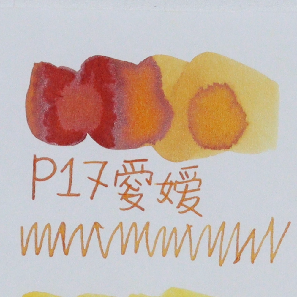 buy tono & lims ink in the US Canada Vancouver - TONO & LIMS - 30ML Fountain Pen Ink - Prefecture Series - Ehime: Innocence (愛媛) swatches