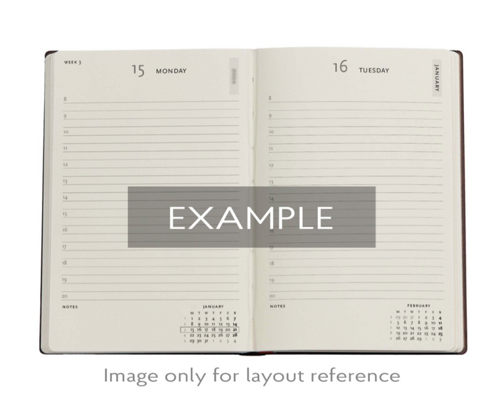 Paperblanks - 2026 Balloon Festival, Pierre the Maze Detective, 12-Month Planner Flexis, DAY-AT-A-TIME - Midi, Day-at-a-Time, Elastic Band, 432 Pg, 80 GSM