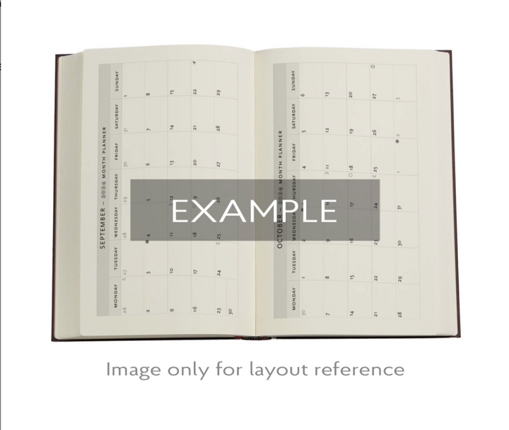 Paperblanks - 2026 Balloon Festival, Pierre the Maze Detective, 12-Month Planner Flexis, DAY-AT-A-TIME - Midi, Day-at-a-Time, Elastic Band, 432 Pg, 80 GSM